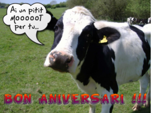 Mooooot d'Aniversari