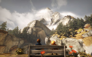 Brothers Panorama